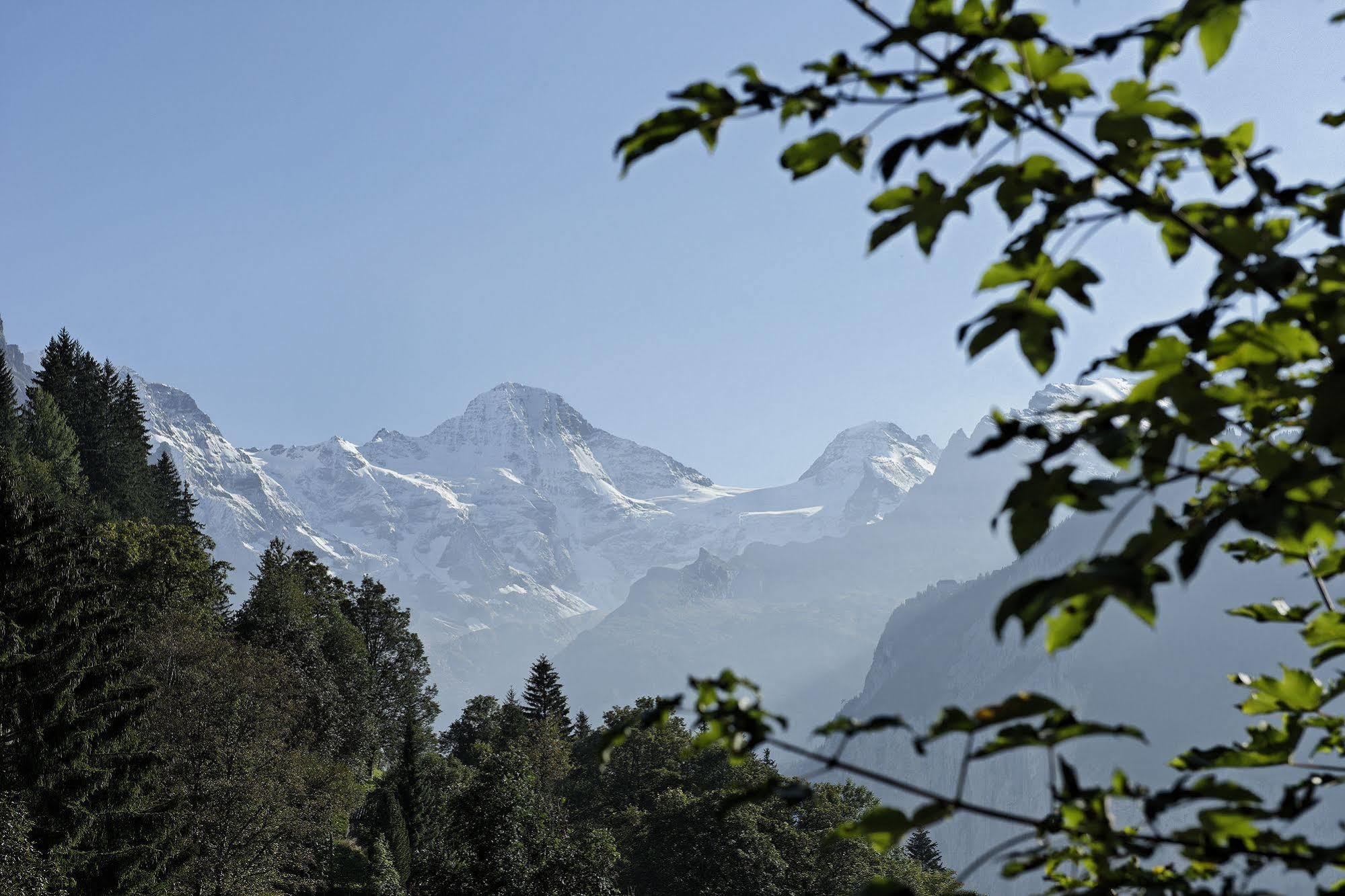 Alpenrose - A Family Affair Since 1881 3*